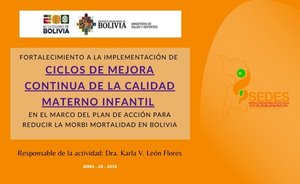 FORTALECIMIENTO A LA IMPLEMENTACIÓN DE CICLOS DE MEJORA CONTINUA DE LA CALIDAD MATERNO INFANTIL EN EL MARCO DEL PLAN DE ACCIÓN PARA REDUCIR LA MORBI MORTALIDAD EN BOLIVIA
